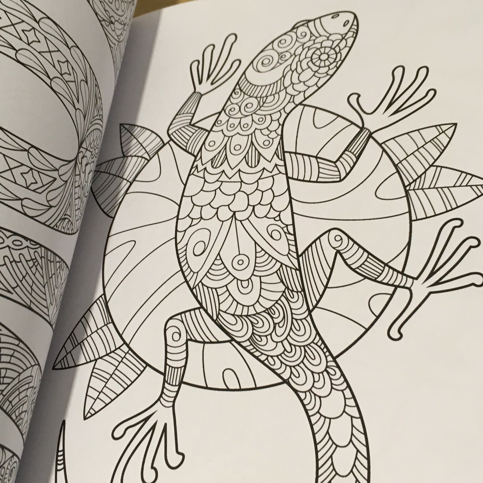 Coloring Book for Adults Relaxation: Flower, Floral, Butterfly Birds.. 160 pages