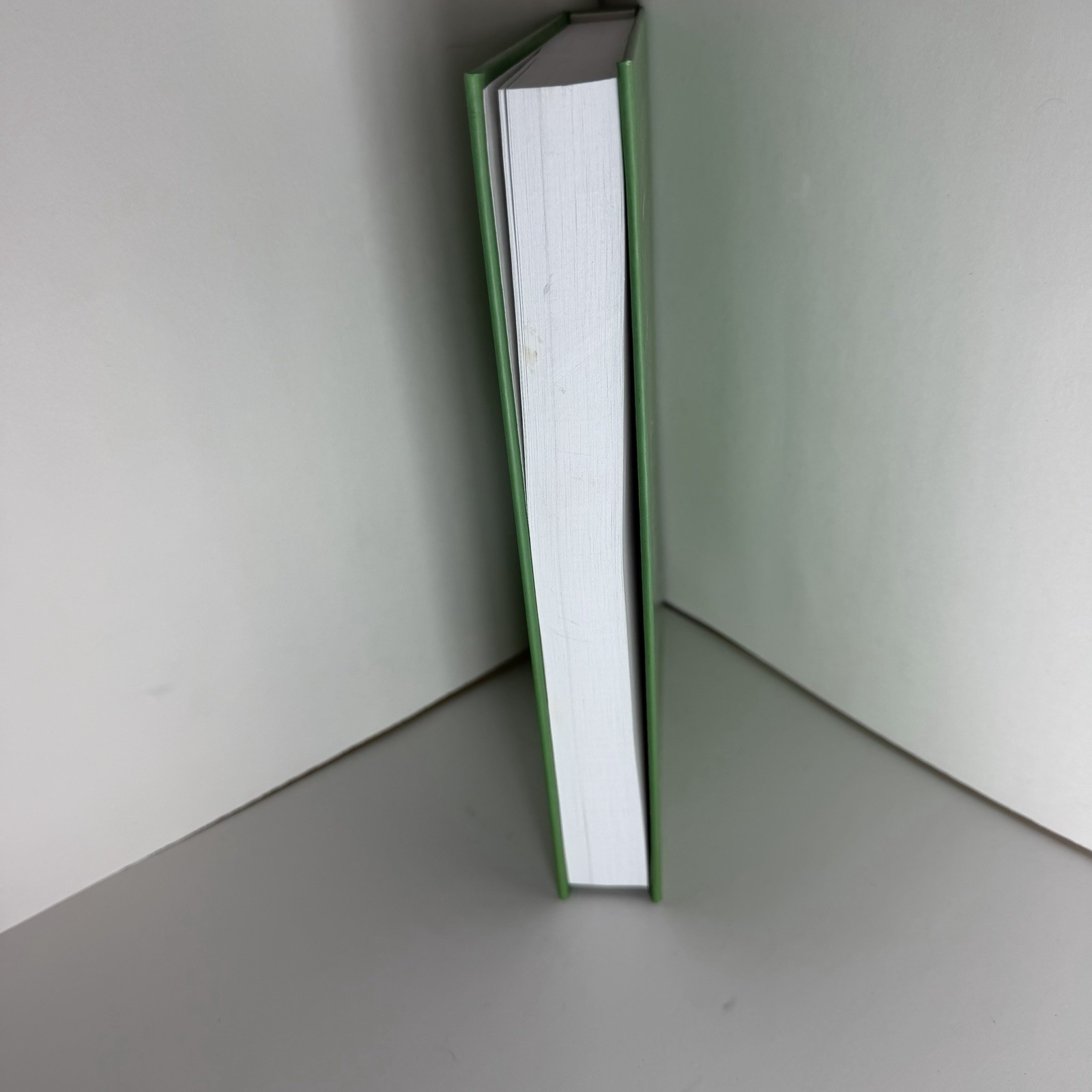 Integrated Management: How Sustainability Creates Value for Any Business Book