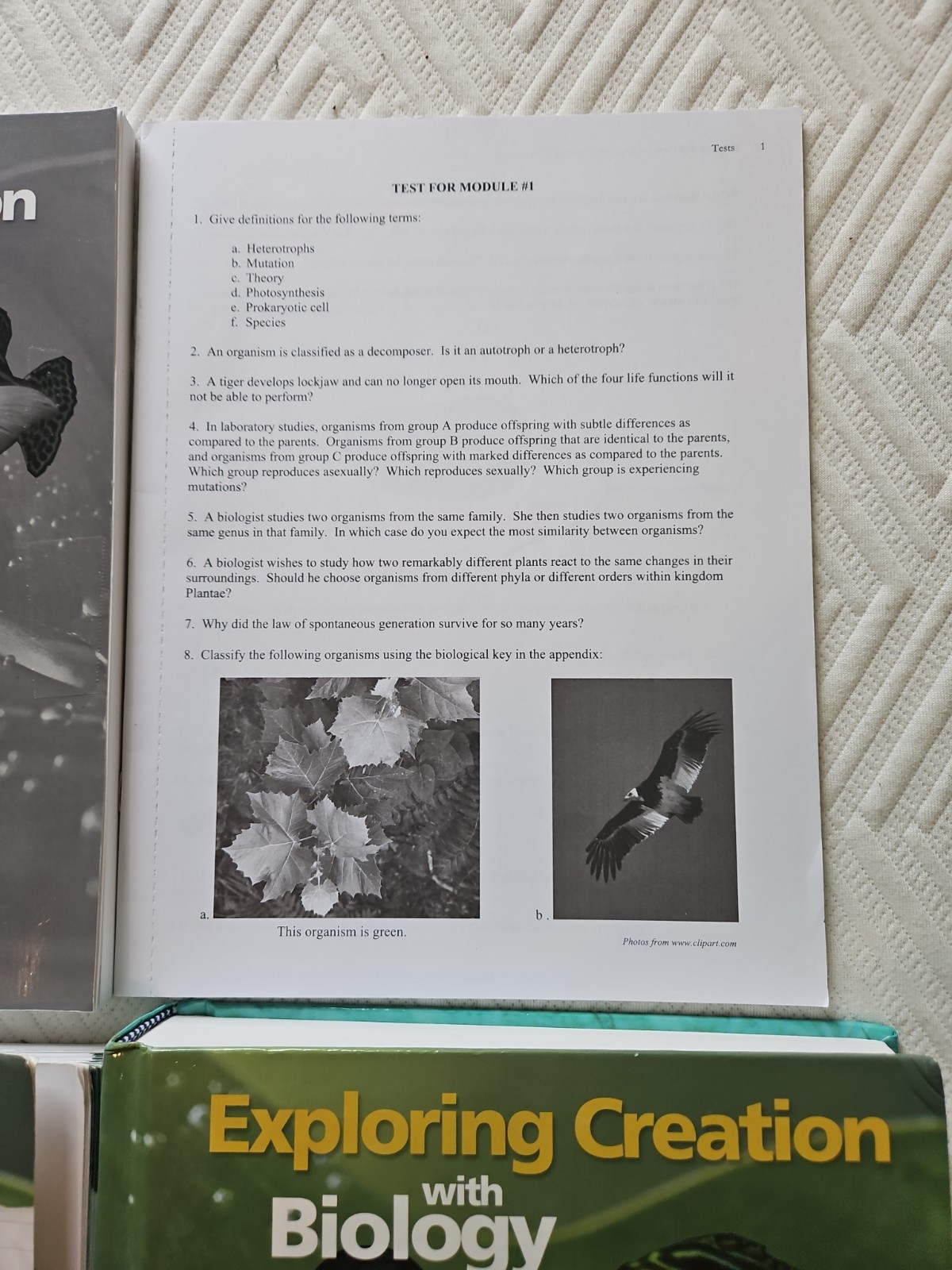 Apologia Exploring Creation With Biology 2nd Edition 6 Item Lot Video…