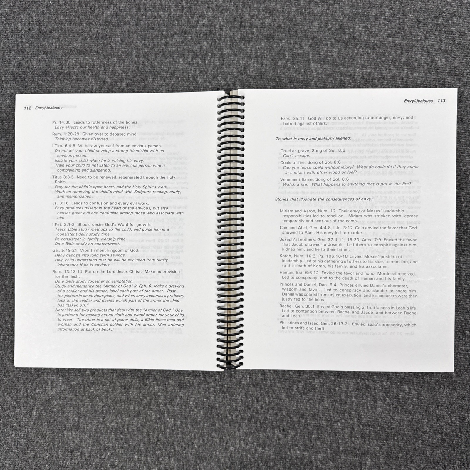 For Instruction in Righteousness (DoorPosts) Pam Forster 1995 Revised Edition