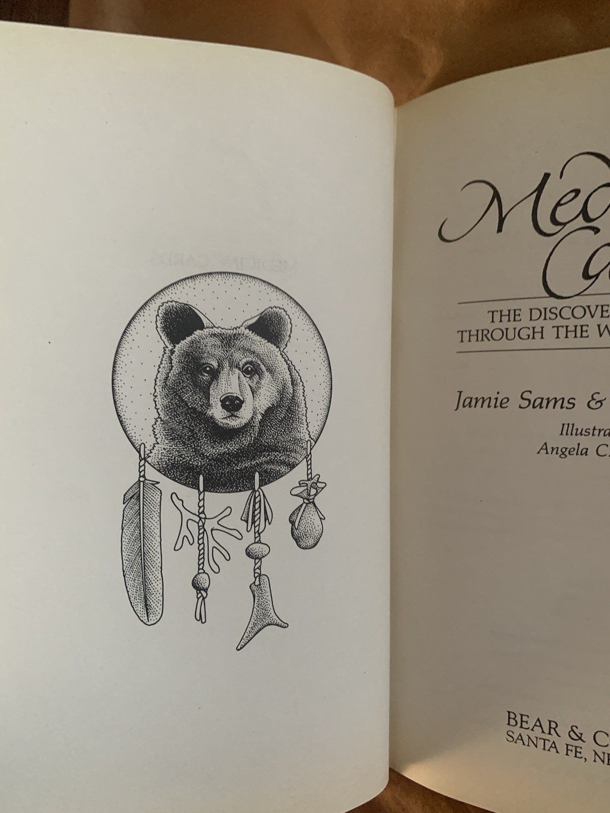 Medicine Cards: The Discovery of Power Through the Ways of Ani…