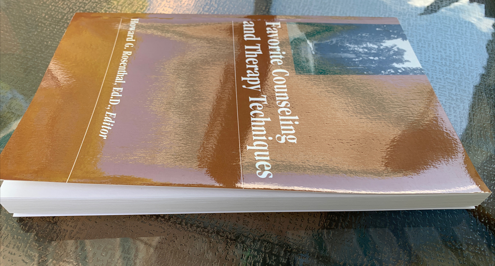 FAVORITE COUNSELING AND THERAPY TECHNIQUES: 51 THERAPISTS By Howard Rosenthal