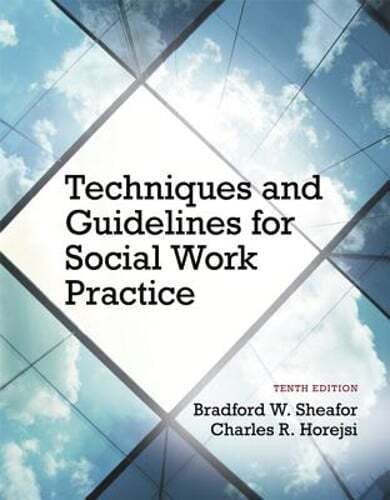 Techniques and Guidelines for Social Work Practice by Bradford Sheafor: Used