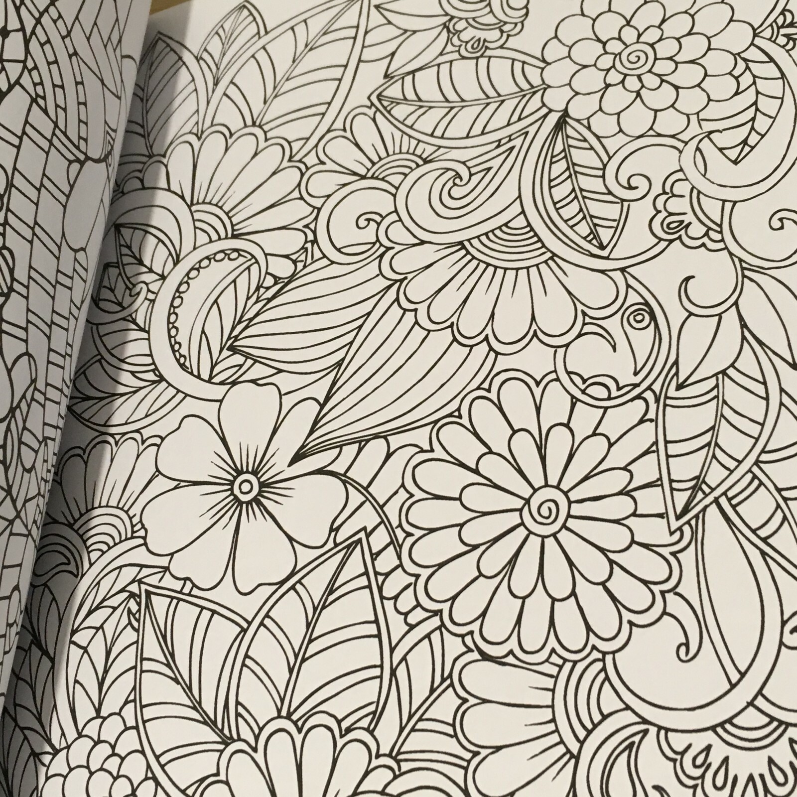 Coloring Book for Adults Relaxation: Flower, Floral, Butterfly Birds.. 160 pages
