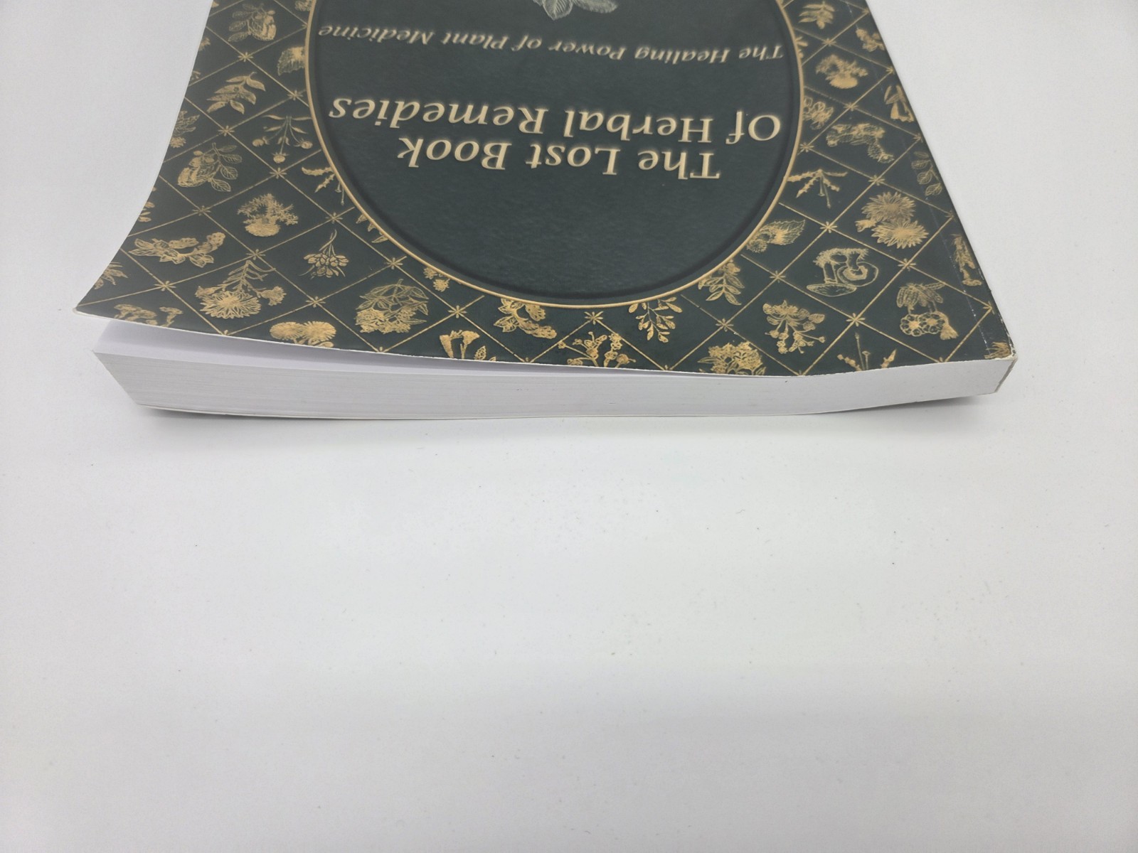 Paperback; The Lost Book of Herbal Remedies; Nicole Apelian & Claude Davis A16