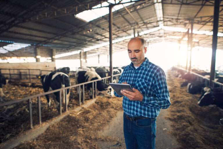 Contabilidade rural em Montes Claros como organizar as finanças da sua fazenda